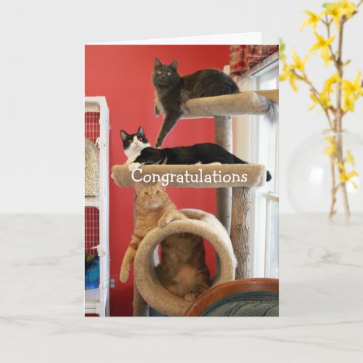 子猫のコンドミニアム カード (黄色い花)