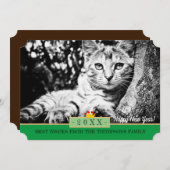 子猫のチャーマーとおめでとうカード/猫 シーズンカード (正面/裏面)