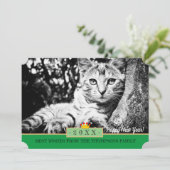 子猫のチャーマーとおめでとうカード/猫 シーズンカード (スタンド正面)