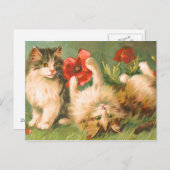 子猫のハガキ遊について ポストカード (正面/裏面)