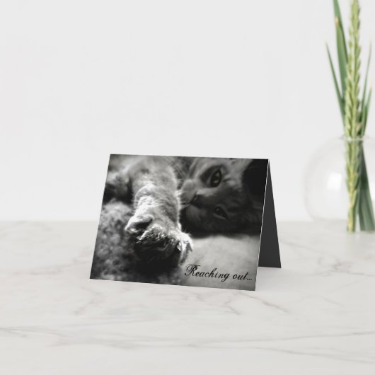 子猫のバレンタインデイカード シーズンカード (正面)