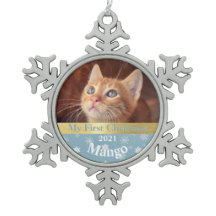 子猫のパーソナライズされた初めてのクリスマス写真