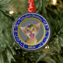 子猫のパーソナライズされた初めてのクリスマス写真