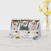 子猫のペサフグリーティングカード カード (黄色い花)