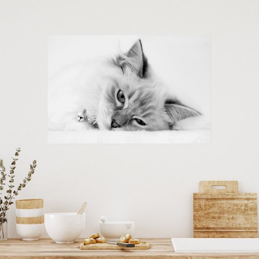子猫のポスター ポスター (キッチン)