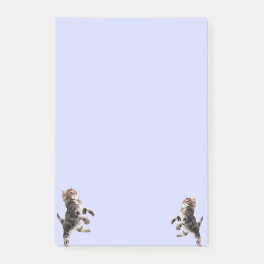 子猫のポスト・イット ポストイット (正面)