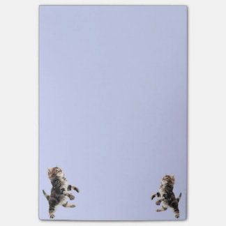 子猫のポスト・イット ポストイット