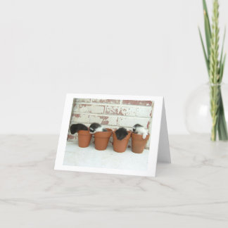 子猫のポットのメッセージカード カード