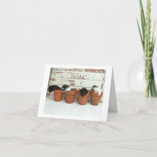 子猫のポットのメッセージカード カード (正面)