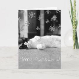 子猫のメリークリスマスカード シーズンカード