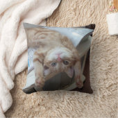 子猫のリラックス クッション (ブランケット)