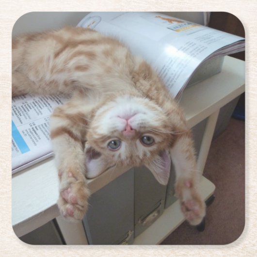 子猫のリラックス スクエアペーパーコースター (正面)