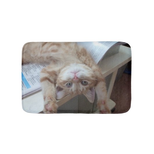 子猫のリラックス バスマット (正面)