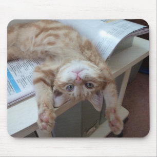 子猫のリラックス マウスパッド