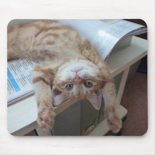 子猫のリラックス マウスパッド (正面)