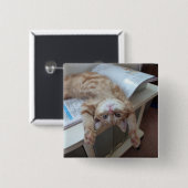 子猫のリラックス 缶バッジ (正面&裏面)