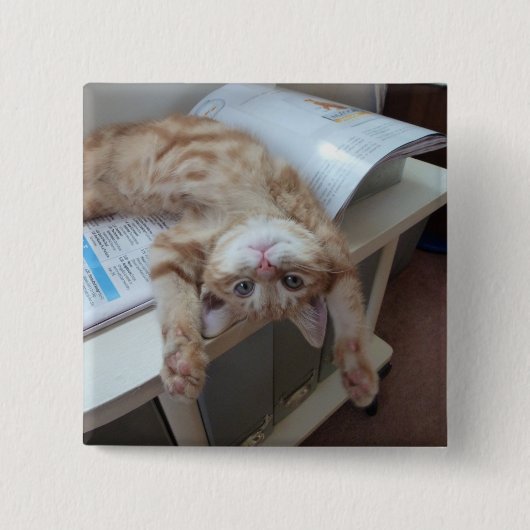 子猫のリラックス 缶バッジ (正面)