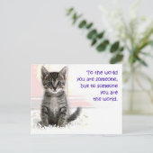 子猫の世界 ポストカード (スタンド正面)