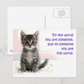 子猫の世界 ポストカード (正面/裏面)