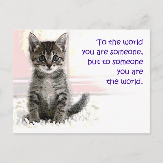 子猫の世界 ポストカード (正面)