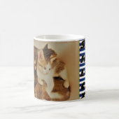 子猫の休息写真オリジナル コーヒーマグカップ (中央)