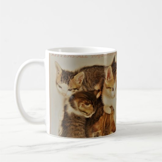 子猫の休息写真オリジナル コーヒーマグカップ (左)