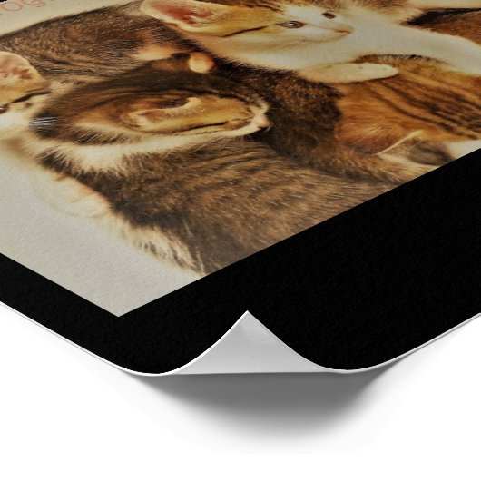 子猫の休息写真オリジナル ポスター (角)