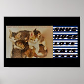 子猫の休息写真オリジナル ポスター (正面)