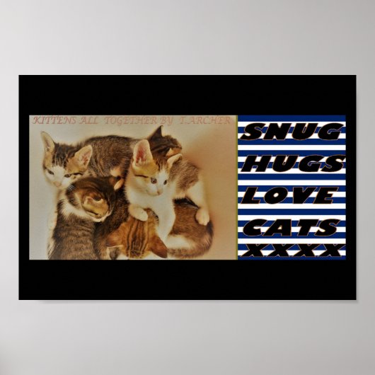 子猫の休息写真オリジナル ポスター (正面)