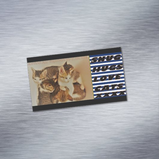 子猫の休息写真オリジナル マグネット名刺 (インサイチュ)
