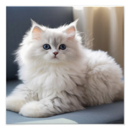 子猫の保育園＆子供部屋のプリント フォトプリント           