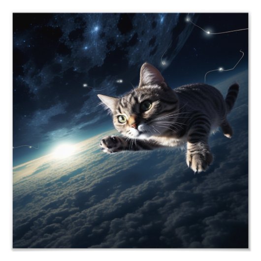 子猫の保育園＆子供部屋のプリント フォトプリント            (正面)