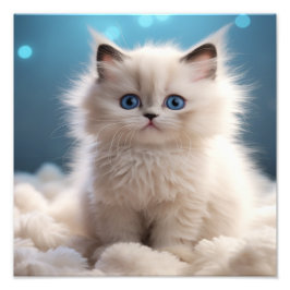 子猫の保育園＆子供部屋のプリント フォトプリント           