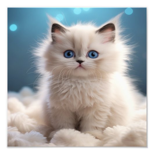 子猫の保育園&子供部屋のプリント フォトプリント (正面)