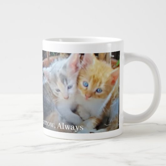 子猫の写真と名言 ジャンボコーヒーマグカップ (右)