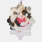 子猫の写真テキスト、ギフトタグ、雪の結晶、カスタマイズ、 オーナメントカード (左)