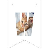 子猫の写真 バンティングフラッグ (第2の旗)