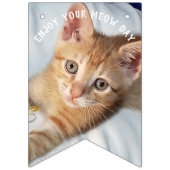 子猫の写真 バンティングフラッグ (第1の旗)