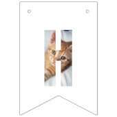 子猫の写真 バンティングフラッグ (第3の旗)