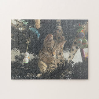 子猫の写真 動物 ペット 猫 ジグソーパズル