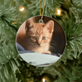 子猫の初めてのクリスマス セラミックオーナメント