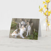 子猫の友達のグリーティングカード カード (黄色い花)