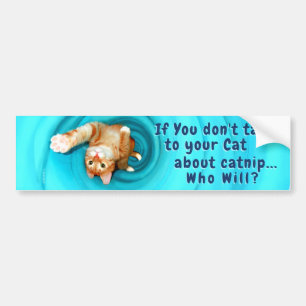 子猫の吸気バンパーシール バンパーステッカー