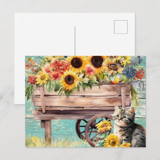 子猫の夏 ポストカード (正面/裏面)