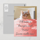 子猫の夢！ ポストカード (正面/裏面)