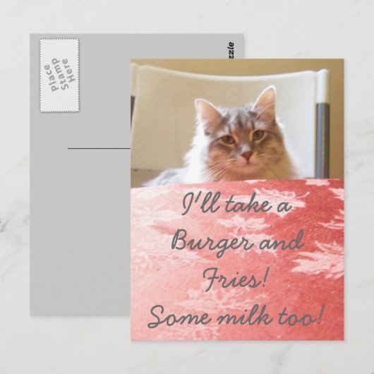 子猫の夢！ ポストカード (正面/裏面)