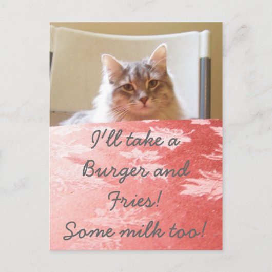 子猫の夢！ ポストカード (正面)