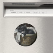 子猫の居心地の良いコーナー マグネット (インサイチュ (食洗機))