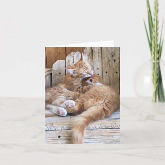 子猫の愛の挨拶 カード (正面)