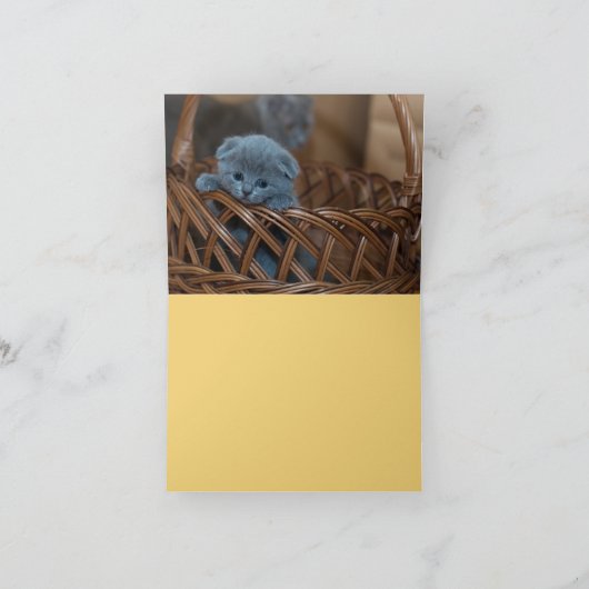 子猫の愛 カード (内部)